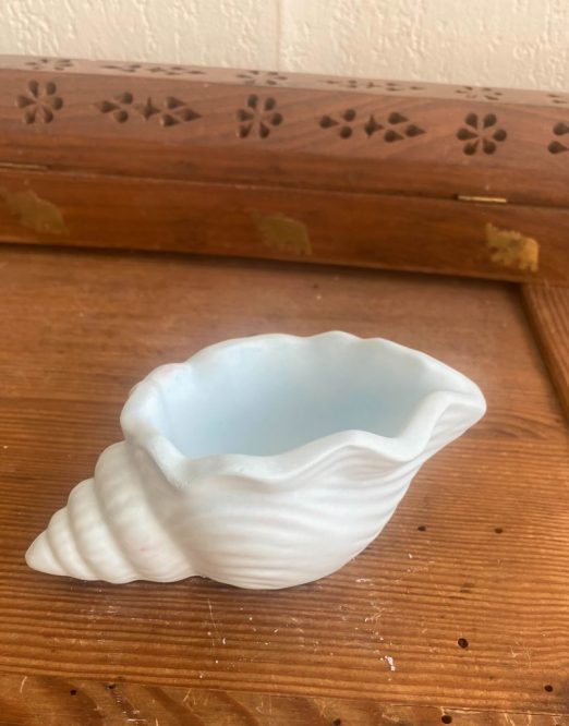 coquillage bleu