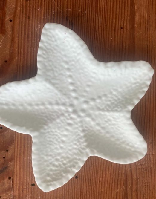 etoile de mer blanche