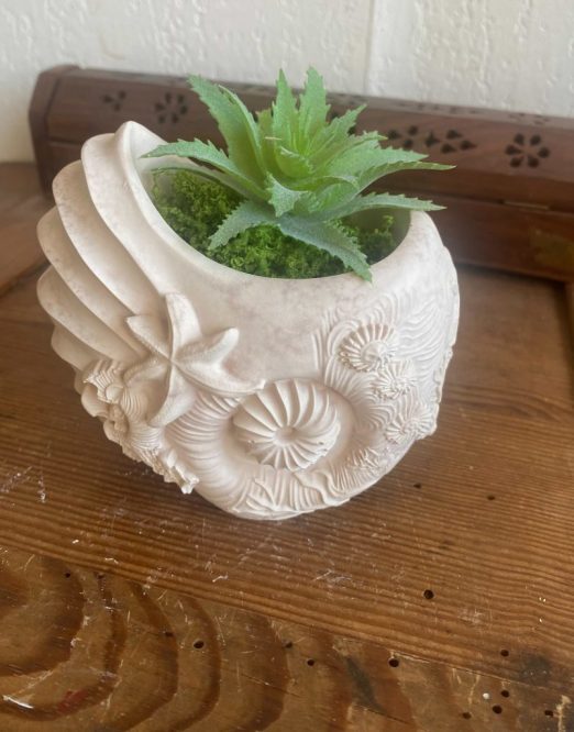 pot de fleur coquillage rose